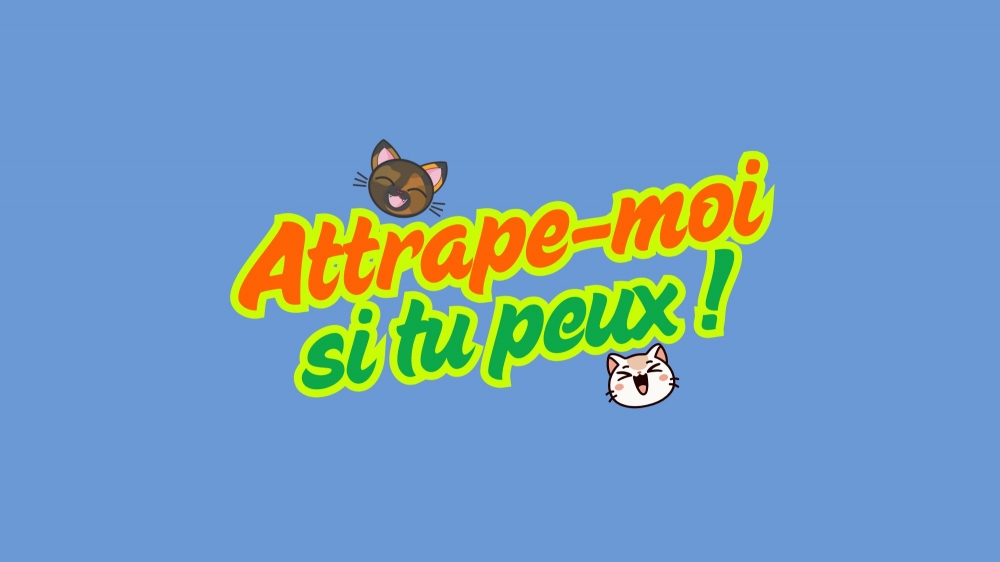 Attrape-moi si tu peux !