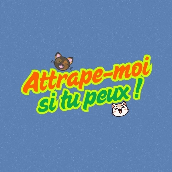 Photo de Attrape-moi si tu peux !